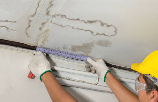 Reliable Basement Flood Cleanup contractor in Danville, CA by Aqua Guard Water Damage